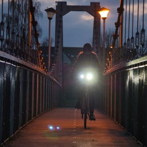 BGPX8757 cropped 300x300 1